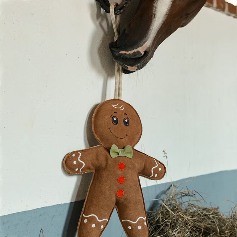 Leksak Pepparkaksgubbe i mocka