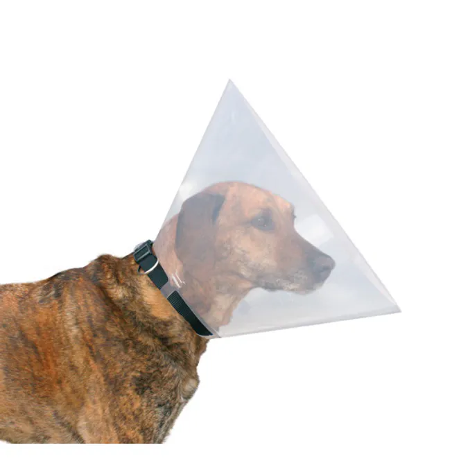 Huvudbild Hundkrage 