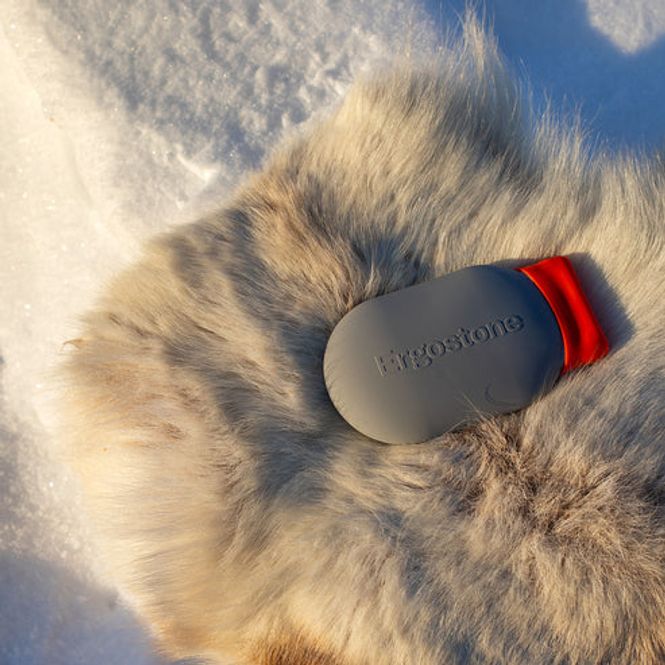 Huvudbild Ergostone Pebble