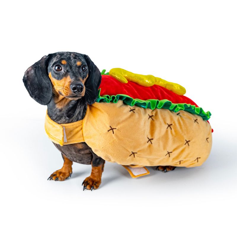 Maskeradkostym för hund, Hotdog
