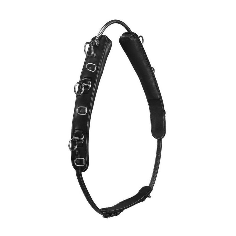 Tömkörningsgjord / Longergjord